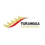 PT Tuah Turangga Agung company icon
