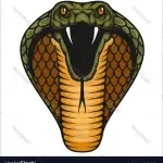 Cobra testting company icon