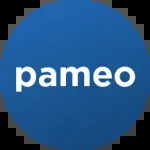 PT PAMEO SOLUSI INDONESIA company icon