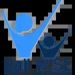 Bali WISE – ROLE Foundation company icon